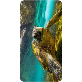 Sea Turtle 2 Kahuna Grip Bath and Shower Mat